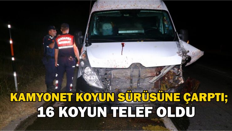 Kamyonet Koyun Sürüsüne Çarptı; 16 Koyun Telef Oldu