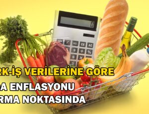 Türk-İş Verilerine Göre Gıda Enflasyonu Durma Noktasında