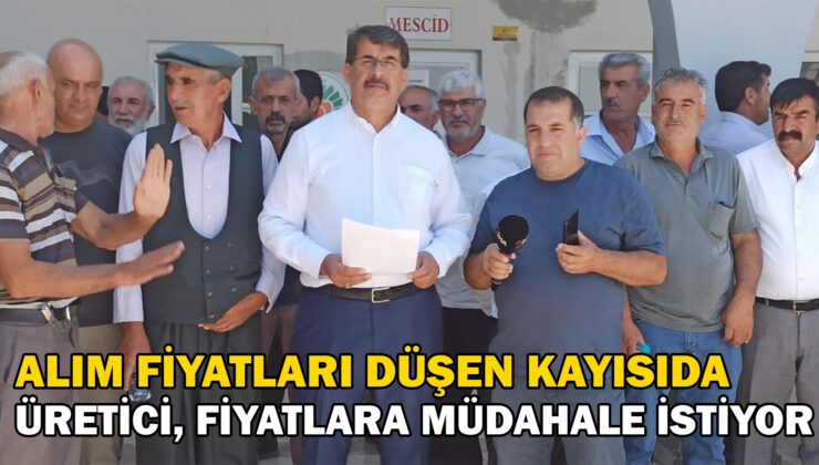 Üretici Kayısıda Fiyatlara Müdahale Istiyor