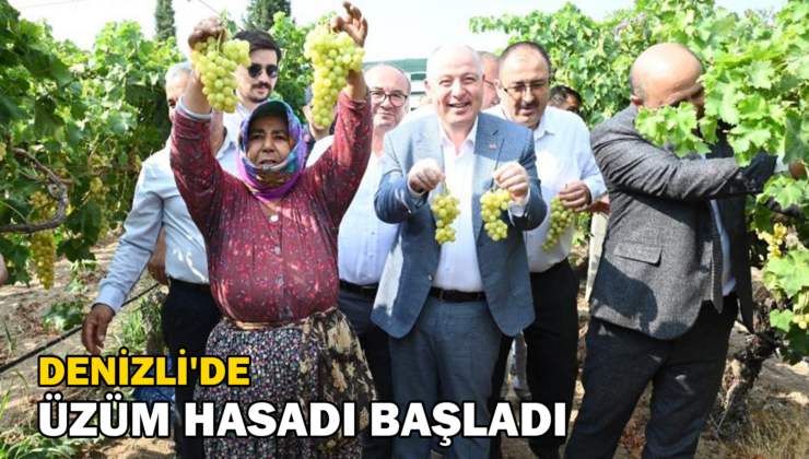 Denizli’De Üzüm Hasadı Başladı