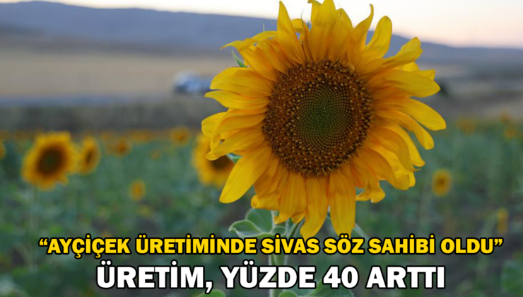 Ayçiçek Üretiminde Rekor Artış!