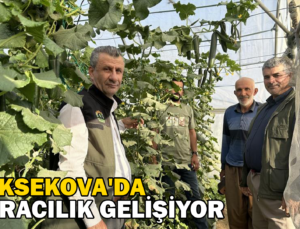 Yüksekova’Da Seracılık Gelişiyor