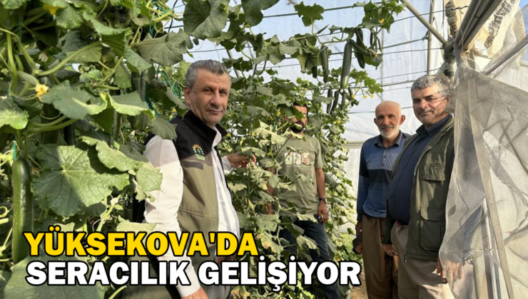 Yüksekova’Da Seracılık Gelişiyor