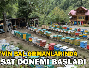 Artvin’de Bal Ormanlarında Hasat Başladı