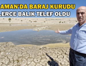 Baraj Kurudu, Binlerce Balık Telef Oldu