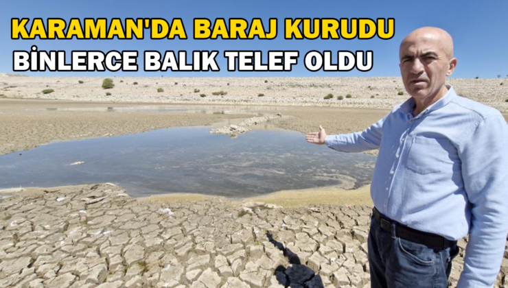 Baraj Kurudu, Binlerce Balık Telef Oldu