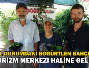 Bu Bahçeye Giren Bir Daha Çıkmak Istemiyor