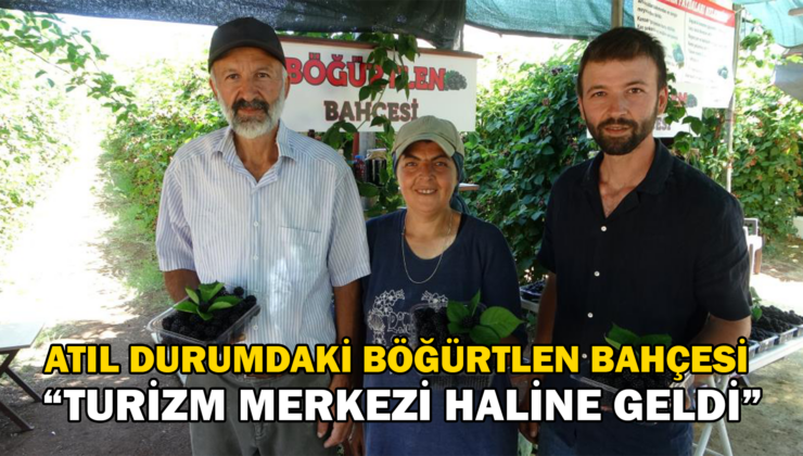 Bu Bahçeye Giren Bir Daha Çıkmak Istemiyor