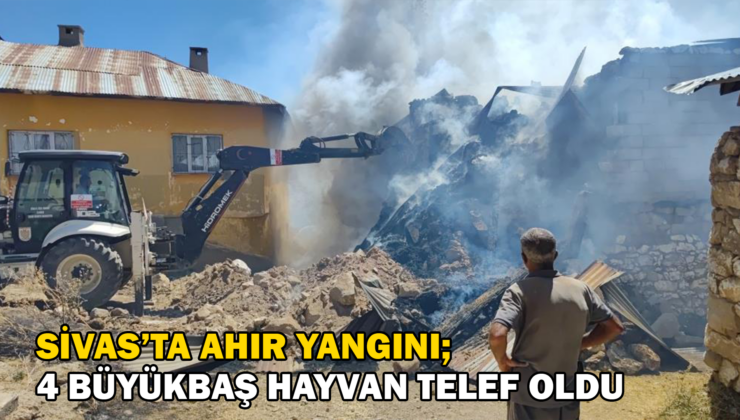 Sivas’ta Çıkan Yangın Korkuttu: 4 Büyükbaş Hayvan Telef Oldu