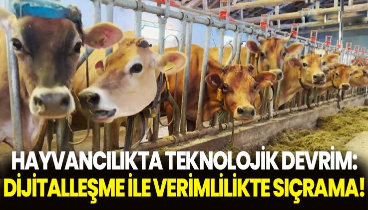 Hayvancılıkta Teknolojik Devrim: Dijitalleşme Ile Verimlilikte Sıçrama