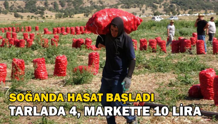 Soğanda Hasat Başladı: Tarlada 4, Markette 10, Pazarda Ise 12 Lira