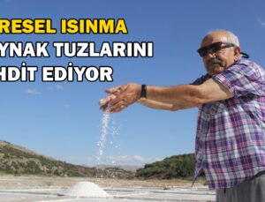 Küresel Isınma Kaynak Tuzlarını Tehdit Ediyor