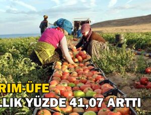 Tarım-Üfe Yıllık Yüzde 41,07 Arttı