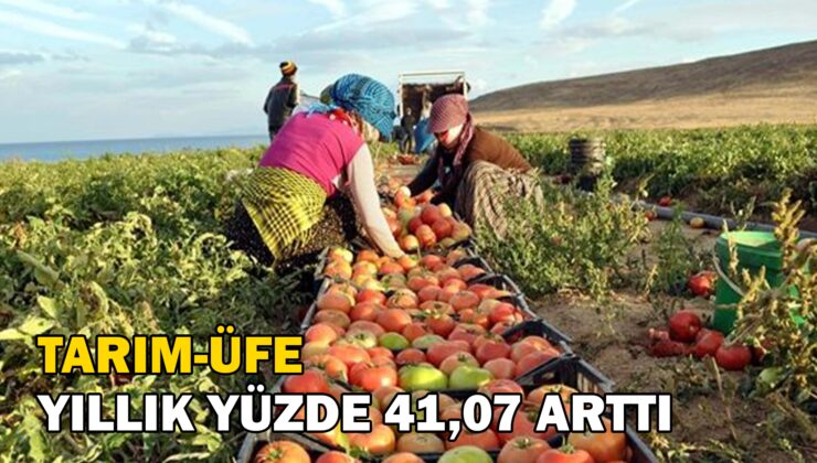 Tarım-Üfe Yıllık Yüzde 41,07 Arttı