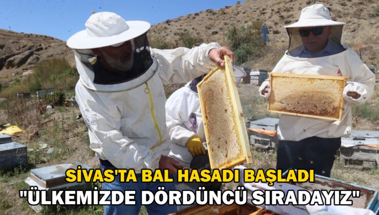 Sivas’Ta Bal Hasadı Başladı