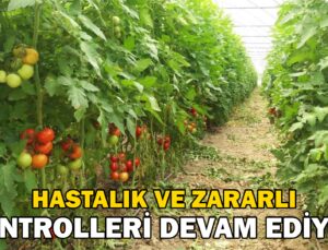 Eskişehir Hastalık Ve Zararlı Kontrolleri Devam Ediyor