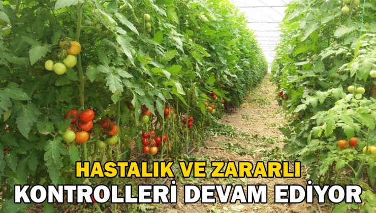 Eskişehir Hastalık Ve Zararlı Kontrolleri Devam Ediyor