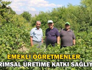 Emekli Öğretmenler Tarımsal Üretime Katkı Sağlıyor