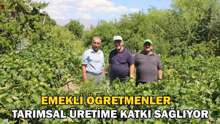 Emekli Öğretmenler Tarımsal Üretime Katkı Sağlıyor