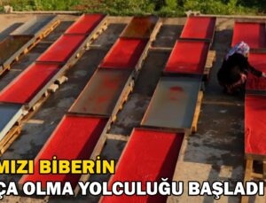 Kırmızı Biberin Salça Olma Yolculuğu Başladı