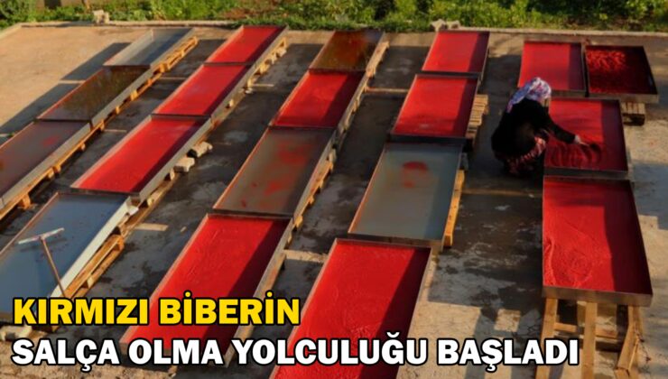 Kırmızı Biberin Salça Olma Yolculuğu Başladı