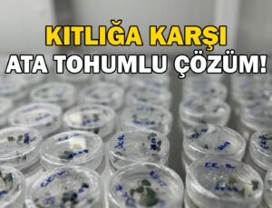 Kıtlık Ihtimaline Karşı Ata Tohumlu Çözüm