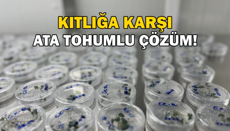 Kıtlık Ihtimaline Karşı Ata Tohumlu Çözüm