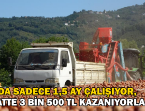 Yılda Sadece 1,5 Ay Çalışıyorlar, Saatte 3 Bin 500 Tl Kazanıyorlar