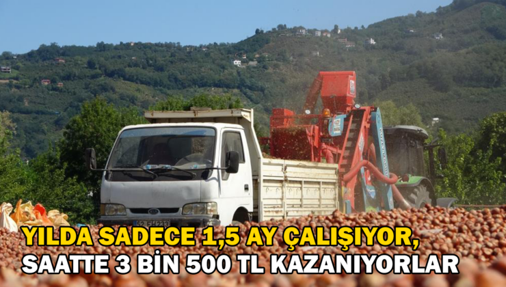 Yılda Sadece 1,5 Ay Çalışıyorlar, Saatte 3 Bin 500 Tl Kazanıyorlar