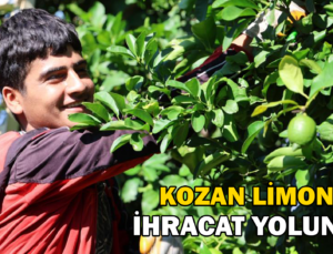 Kozan Limonu Avrupa Ve Asya Ülkeleri Için Tırlara Yüklendi