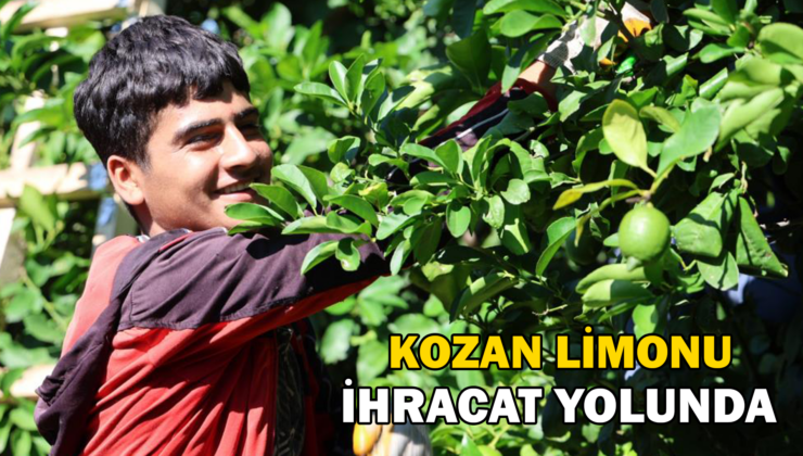 Kozan Limonu Avrupa Ve Asya Ülkeleri Için Tırlara Yüklendi