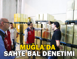 Muğla’da Sahte Bal Denetimi