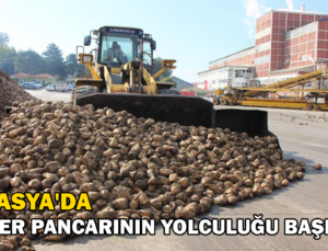 Şeker Pancarının Yolculuğu Başladı