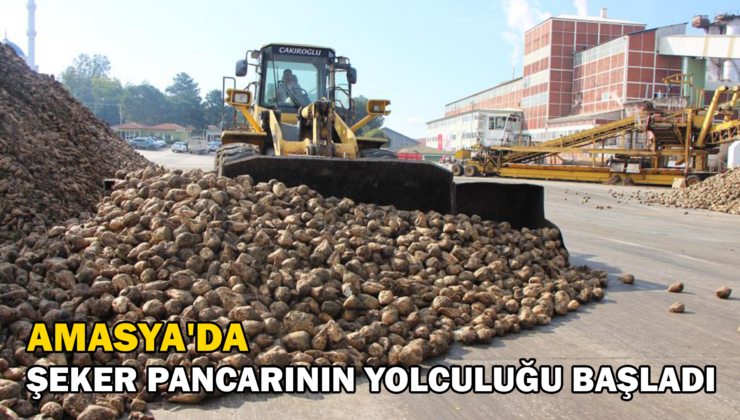 Şeker Pancarının Yolculuğu Başladı