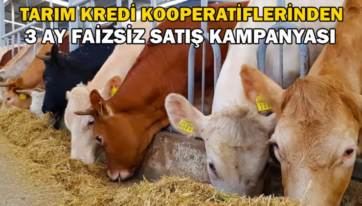 Tarım Kredi Kooperatifleri, 3 Ay Faizsiz Tarımsal Girdi Satış Kampanyasına Başladı