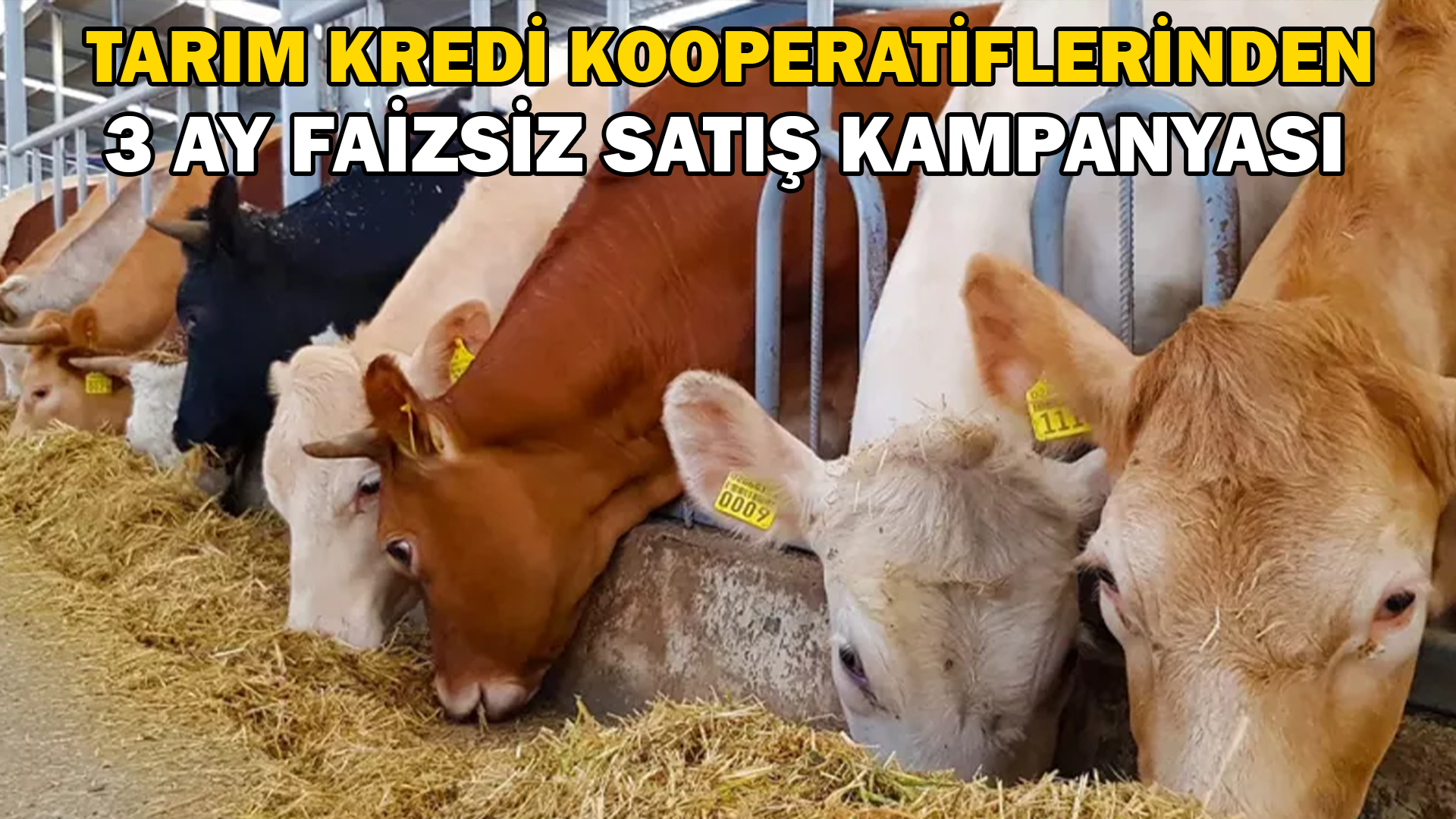 Tarım Kredi Kooperatifleri, 3 ay faizsiz tarımsal girdi satış kampanyasına başladı