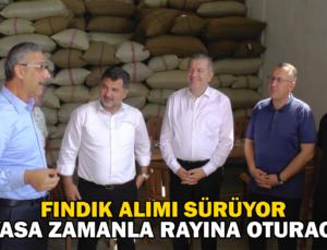 Fındık Alımı Sürüyor “Piyasa Zamanla Rayına Oturacak”