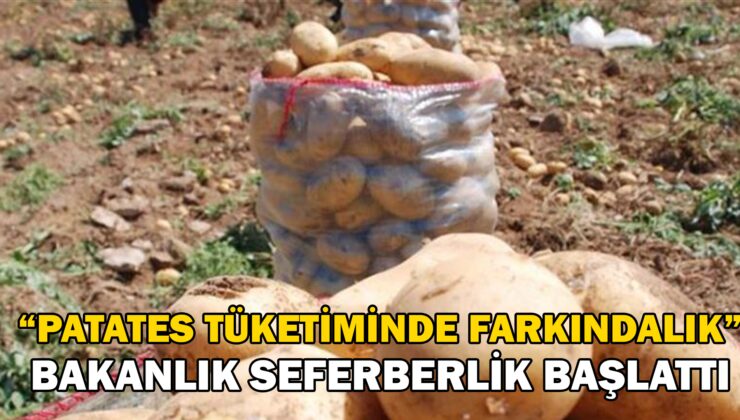 Bakanlık Patateste Seferberlik Başlattı