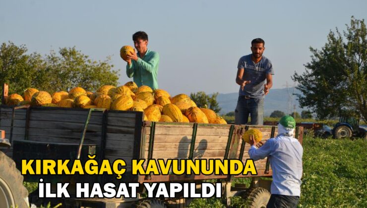 Kırkağaç Kavununda Ilk Hasat Yapıldı