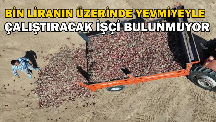 Bin Liranın Üzerinde Yevmiyeyle Çalıştıracak Işçi Bulamakta Zorlanıyorlar