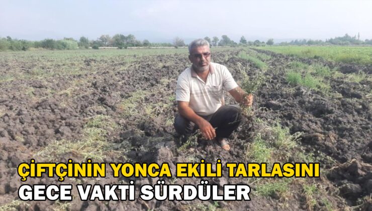 Arazi Anlaşmazlığı Yaşayan Çiftçinin Yonca Ekili 30 Dekar Tarlasını Gece Vakti Sürdüler