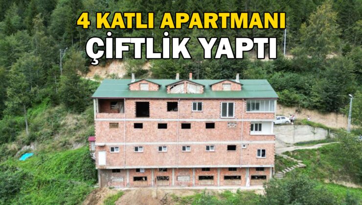 İneklerine 4 Katlı Apartmanda Bakıyor