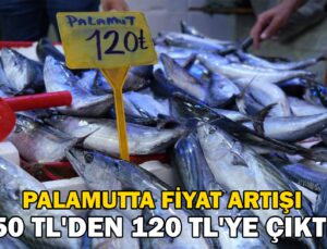 Palamut Rusya’Ya Kaçtı, Fiyatlar 50 Tl’Den 120 Tl’Ye Çıktı