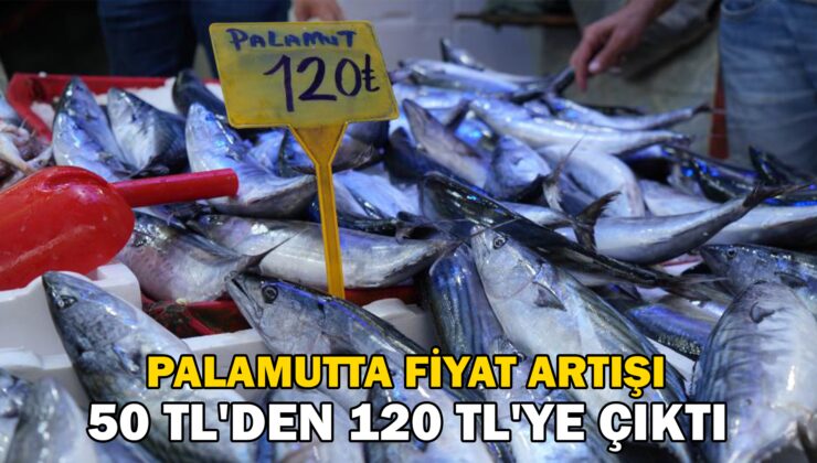 Palamut Rusya’Ya Kaçtı, Fiyatlar 50 Tl’Den 120 Tl’Ye Çıktı