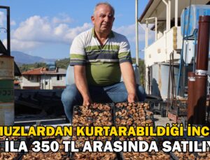 Çiftçinin Domuzlardan Kurtarabildiği Kuru Incir, 300 Ila 350 Tl Arasında Alıcı Buluyor