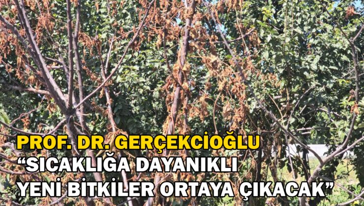 Prof. Dr. Gerçekcioğlu: “Sıcaklığa Dayanıklı Yeni Bitkiler Ortaya Çıkacak”