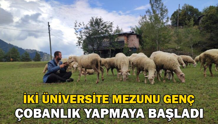 İki Üniversite Bitiren Genç, Çobanlık Yapmaya Başladı