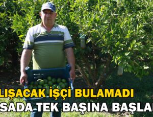 Çalışacak Işçi Bulamayınca, Hasada Tek Başına Başladı