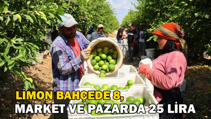 Limon Bahçede 8, Market Ve Pazarda 25 Lira