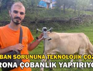 Drona Çobanlık Yaptırıyor